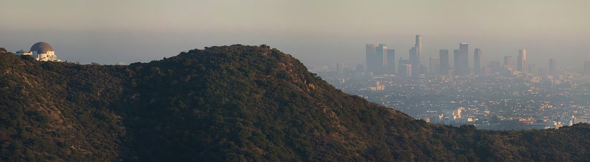 California urban landscape representing regional economics